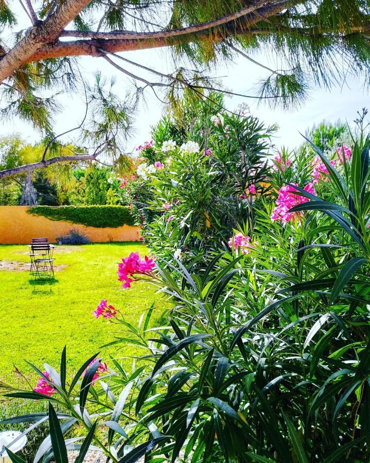 Le Paquebot Bed & Breakfast Villetelle Exterior foto
